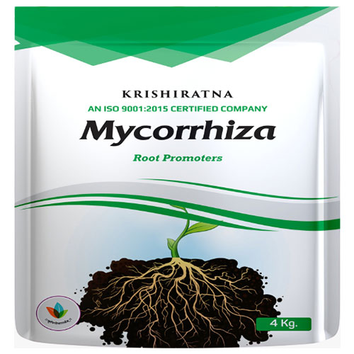 29.-Mycorrhiza-GR