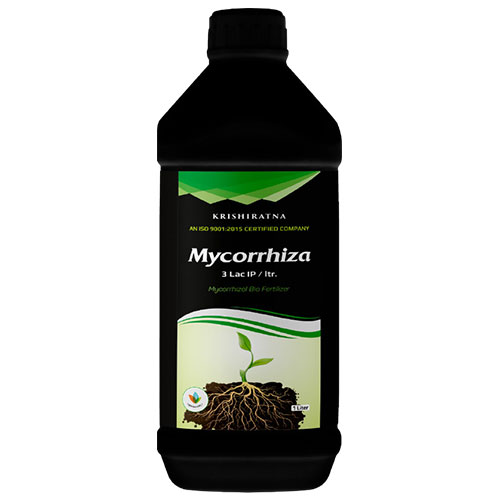 29.-Mycorrhiza